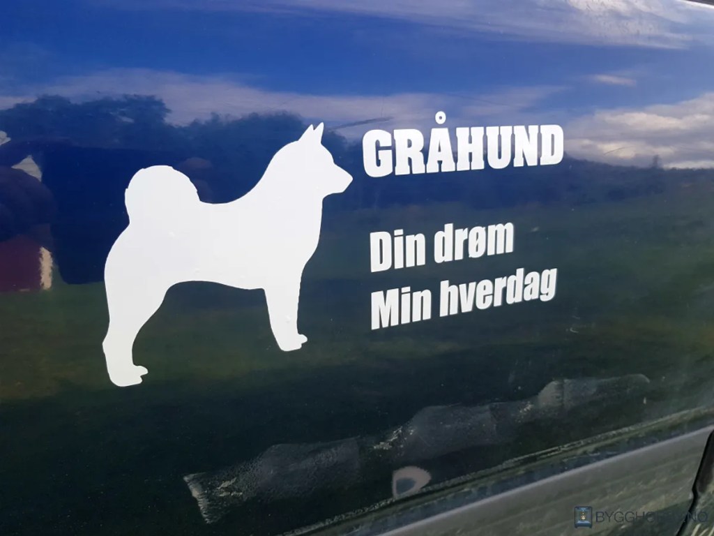 Gråhund Din Drøm Min Hverdag Hvit Klistremerke