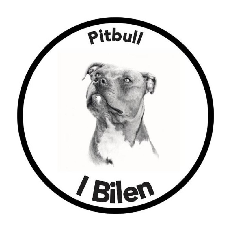 Pitbull I Bilen Klistremerke