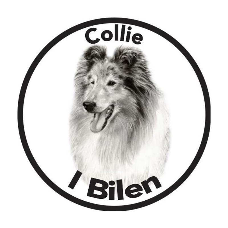 Collie I Bilen Klistremerke