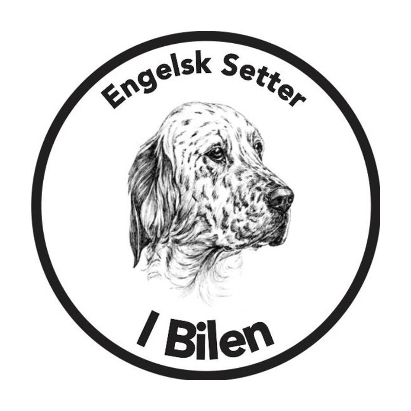 Engelsk Setter I Bilen Klistremerke