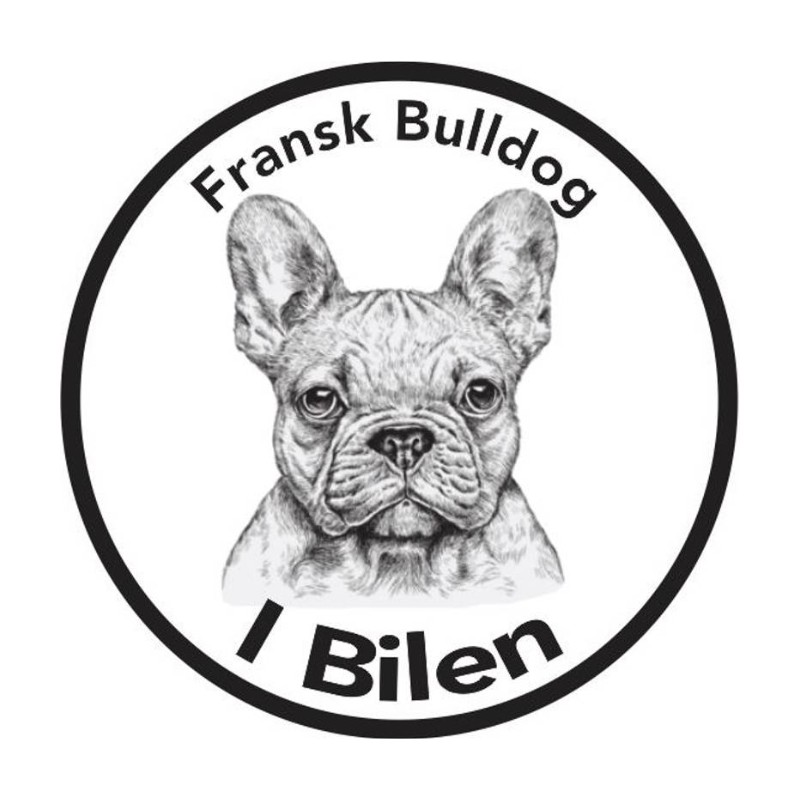 Fransk Bulldog I Bilen Klistremerke
