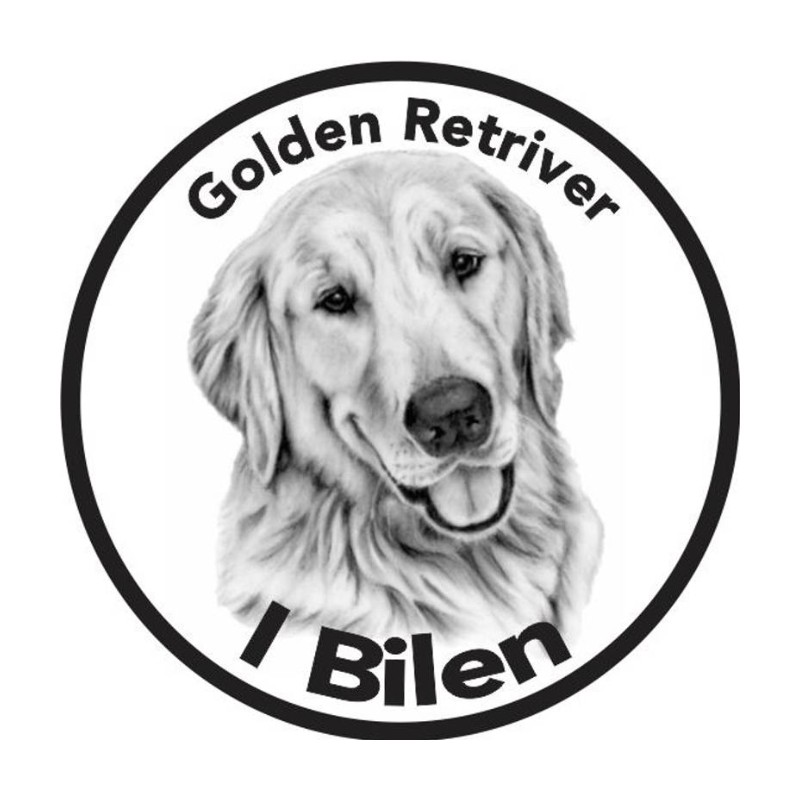 Golden Retriver I Bilen Klistremerke