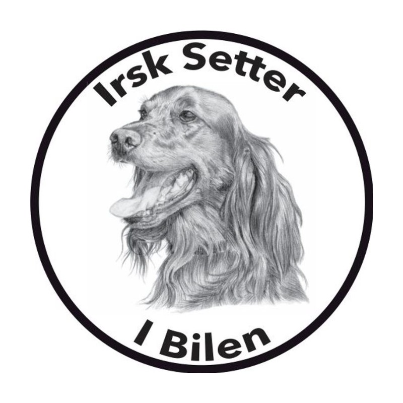 Irsk Setter I Bilen Klistremerke