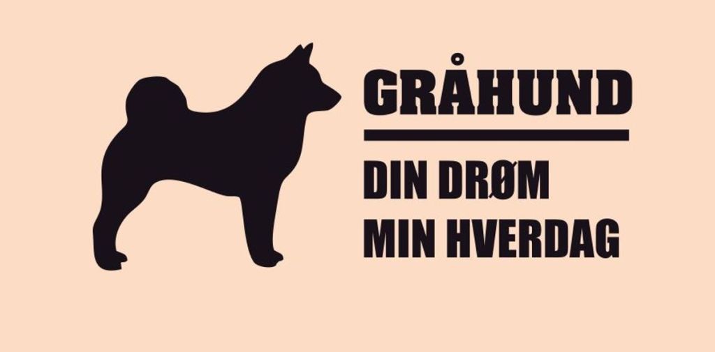 Gråhund Din Drøm Min Hverdag Sort Klistremerke